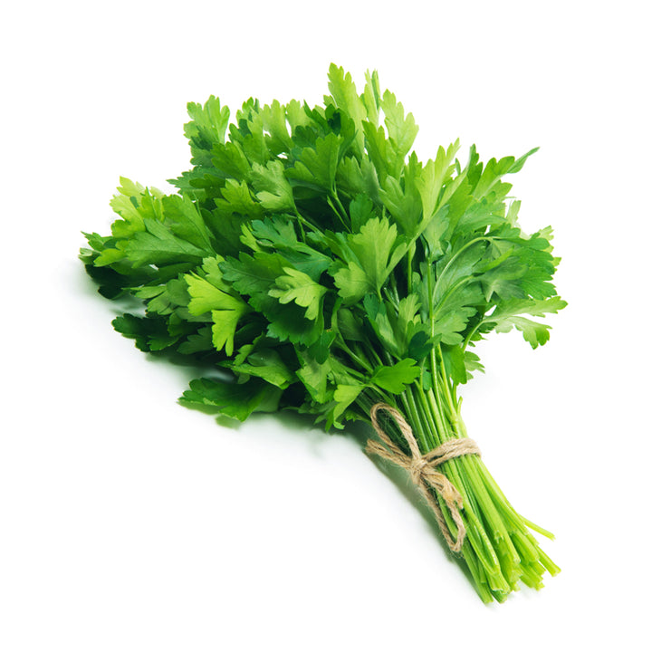 Lebanese parsley bunch