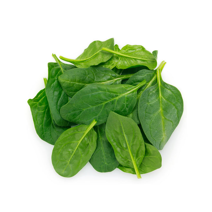 Holland baby spinach
