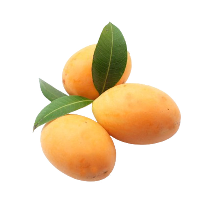 Colombian Mango