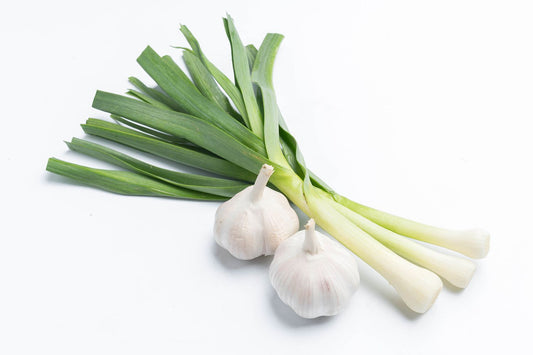 Lebanese green onion bunch