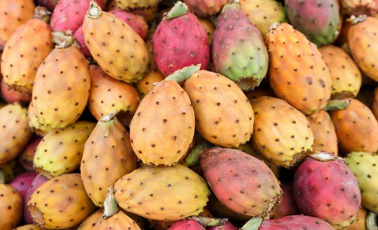 Lebanese Prickly Pear box